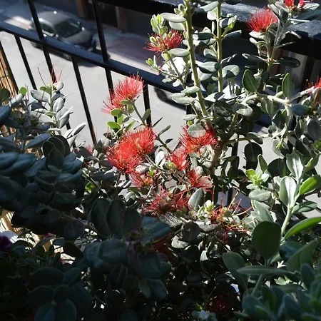 Via Dante Luxury Бари